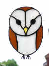 barnowl.jpg (24825 bytes)
