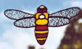 beecirc100.jpg (27035 bytes)