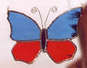 butterfly1br_100.jpg (19114 bytes)