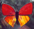 butterfly2_100.jpg (20441 bytes)