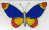 butterfly4_65.jpg (22510 bytes)