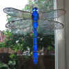 dflyblue4s.jpg (42571 bytes)