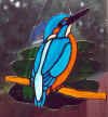 kingfisher100.jpg (25980 bytes)