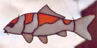koi1_100.jpg (25260 bytes)