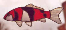 koi2_100.jpg (18120 bytes)